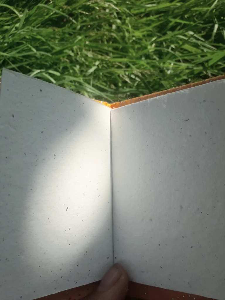 Livre ouvert sur des pages pages sur de l'herbe