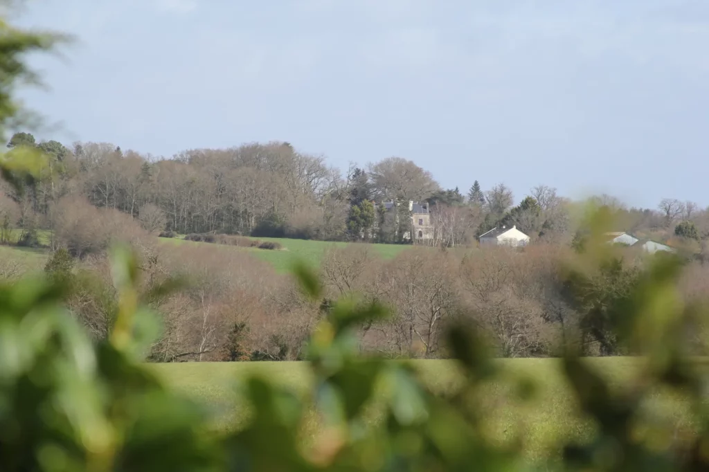 Image de paysage représentant le projet Bocage en France